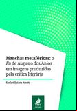Manchas Metafóricas: o Eu de Augusto dos Anjos em imagens produzidas pela crítica literária